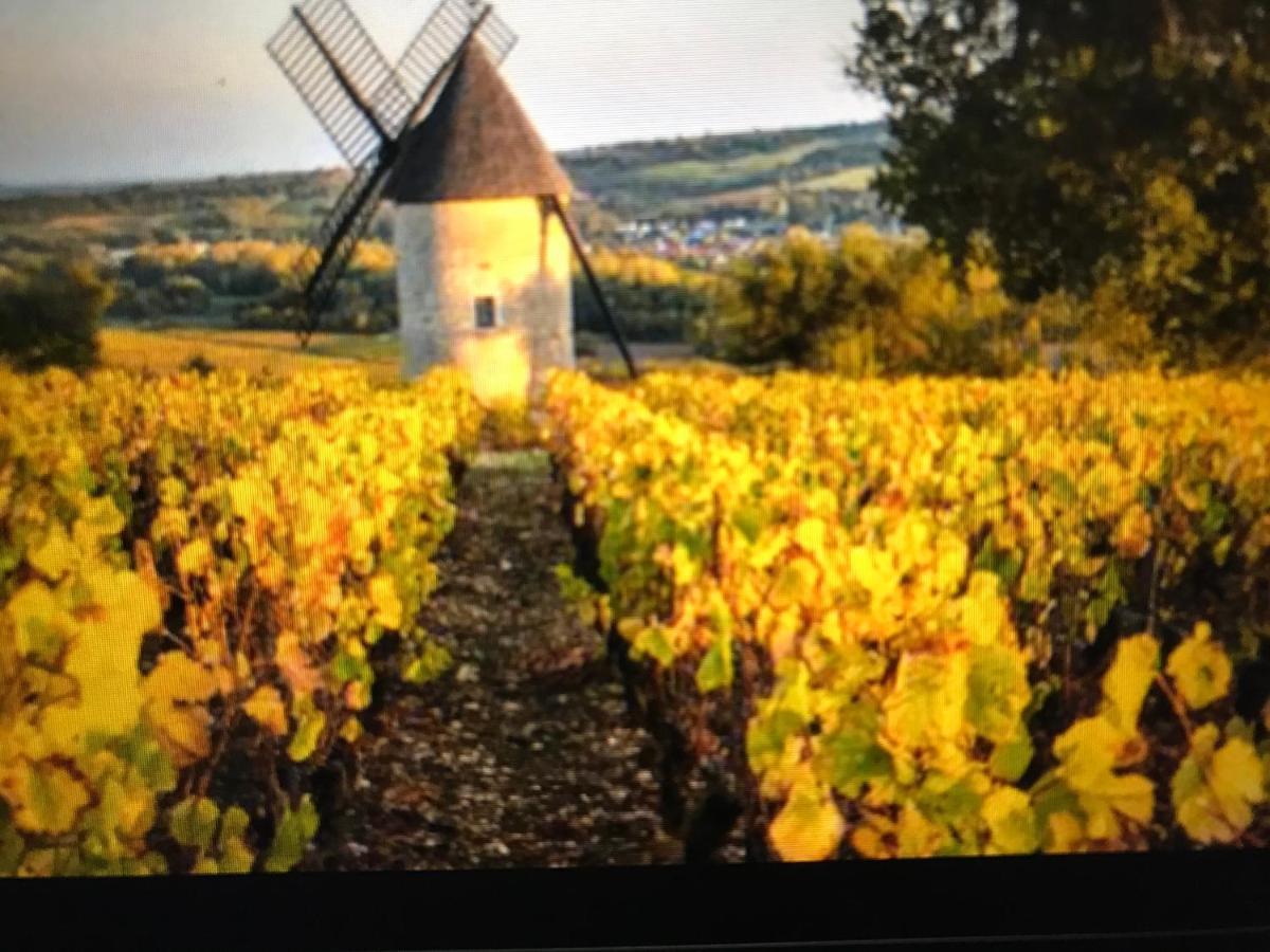 Maison M On The Dordogne Sainte-Foy-la-Grande Esterno foto